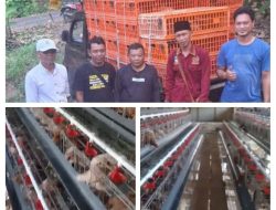 Desa Sagara Wujudkan Ketahanan Pangan Melalui Program Peternakan Ayam Petelur