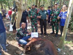 Kasad TNI AD Salurkan Hewan Kurban untuk Warga Desa Sagara, Cibalong