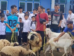 Yayasan Nurul Huda Al-Husaeni Tegallega Salurkan 5 Ekor Qurban untuk Siswa dan Warga