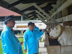 Kasrem 062/TN Tinjau Langsung Pengembangan Ternak Domba dan Kambing di Margawati