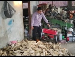 Inovasi Energi Hijau dari Garut: Penyuluh Muda Ubah Limbah Jagung dan Kotoran Sapi Jadi Energi dan Pupuk