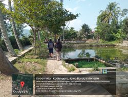 BUMDes Amanah Desa Kadungora Usaha Pembibitan dan Pembesaran Ikan Nila