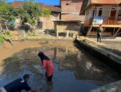 Bumdes Cinaga Sukses Kembangkan Budidaya Ikan Nila
