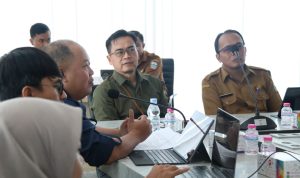 WhatsApp Image 2025-11-12 at 10.27.44