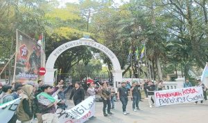 WhatsApp Image 2025-11-27 at 15.21.30